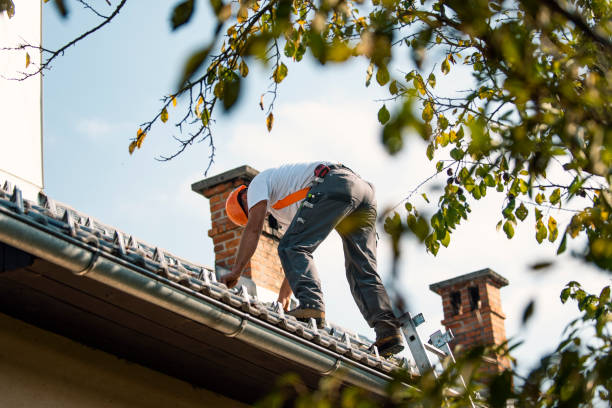 Best Roof Maintenance Services  in St Helen, MI