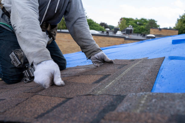 Best New Roof Installation  in St Helen, MI