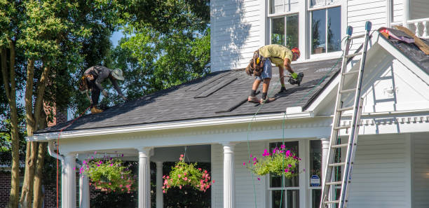 Best Local Roofing Companies  in St Helen, MI