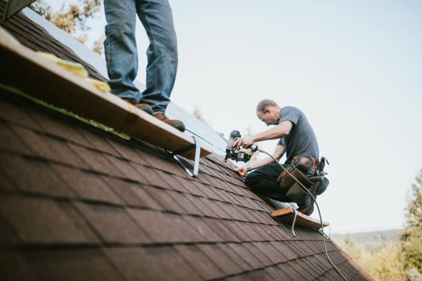 Best Metal Roofing Contractor  in St Helen, MI