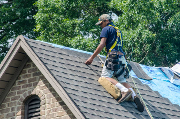 Best Flat Roof Repair Services  in St Helen, MI
